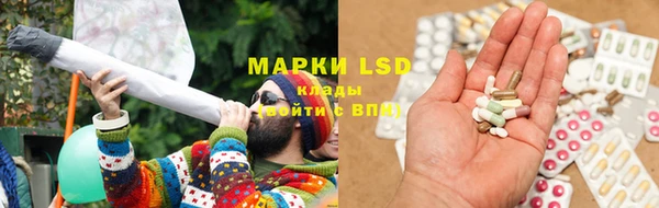 эйфоретик Аркадак