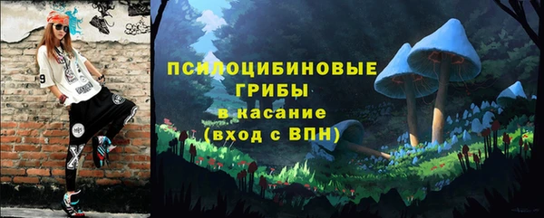 эйфоретик Аркадак