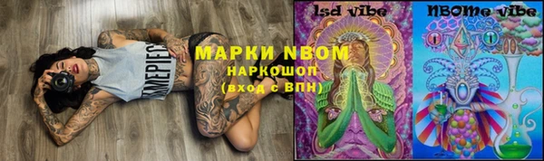 эйфоретик Аркадак
