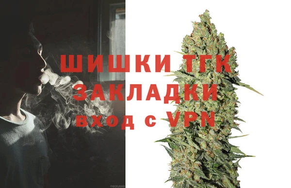 эйфоретик Аркадак