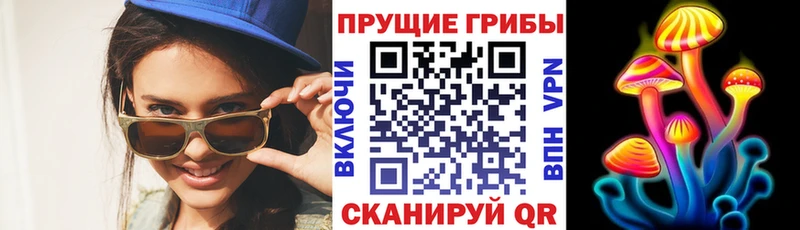 Галлюциногенные грибы Magic Shrooms Павловский Посад