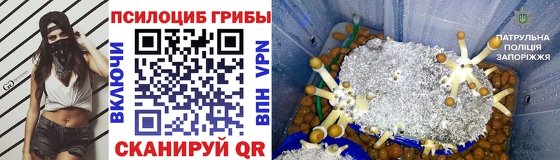 Псилоцибиновые грибы Magic Shrooms Павловский Посад
