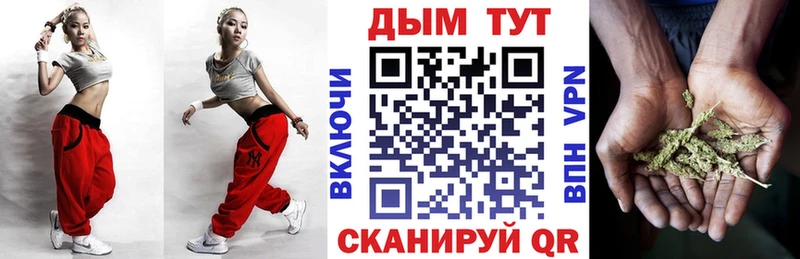 Шишки марихуана планчик  Павловский Посад 